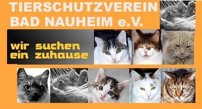 Tierschutzverein Bad Nauheim e.V.