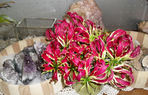 Blumen