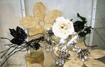 Accessoires