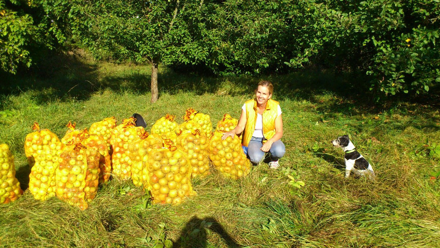 Apfeltag 2016 Bilder